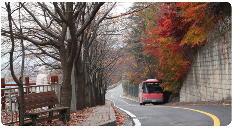 조경 사진